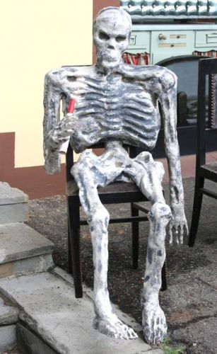 2510 - scheletro.jpg